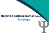 Hamilton Barbosa Gomes Junior