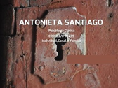 Antonieta Santiago