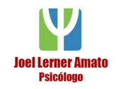 Joel Lerner Amato