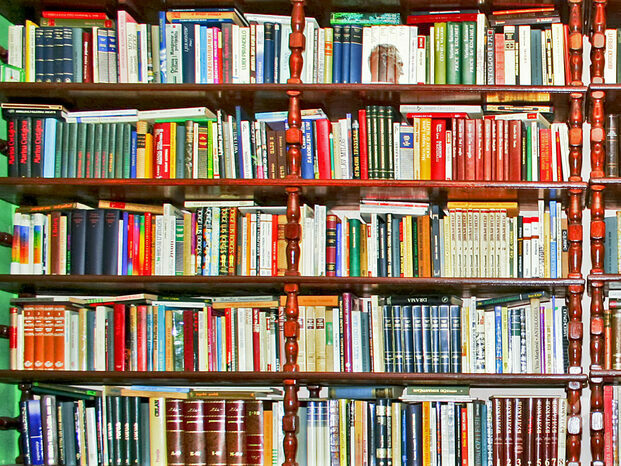 Se a vida for uma biblioteca quais livros você adicionaria?