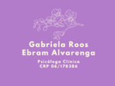 Gabriela Roos Ebram Alvarenga