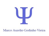Marco Aurelio Godinho Vieira