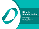 Ricardo Brandel Junior
