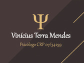 Vinícius Terra Mendes Psicólogo