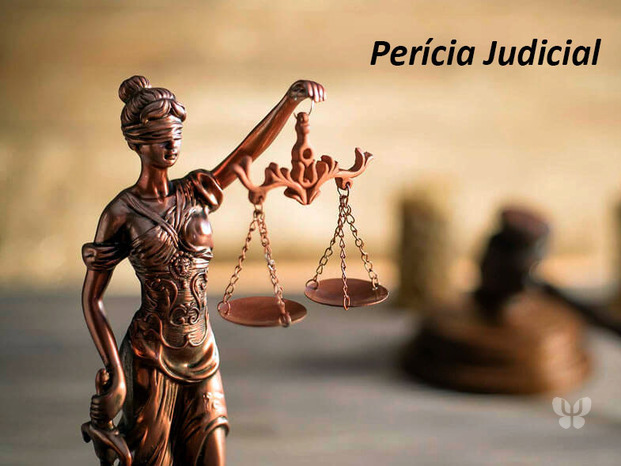 Perícia Judicial